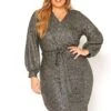 Asoph Plus Size Starry Night Party Mini Dress -Mini Dress Store 2016141 001 2