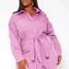 Asoph Plus Size Button Front Collar Mini Dress