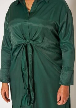 Plus Size Satin Button Front Midi Dress -Mini Dress Store 2019336 161 4