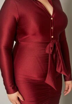 Plus Size Slinky Collar Neck Bodycon Mini Dress -Mini Dress Store 2019850 001 4