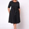 Plus Size Fit & Flare Mini Dress -Mini Dress Store 2020462 004 0