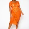 Plus Size Geometric Print Mesh Dress -Mini Dress Store 2022448 002 0