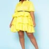 Plus Size Ruffle Tiered Flare Mini Dress -Mini Dress Store 2022518 002 0