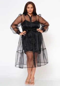 Plus Size Top Trend Sheer Button Front Fit & Flare Dress -Mini Dress Store 2022579 001 2