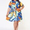 Plus Size Multi Pattern Pleated Fit & Flare Dress