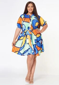 Plus Size Multi Pattern Pleated Fit & Flare Dress